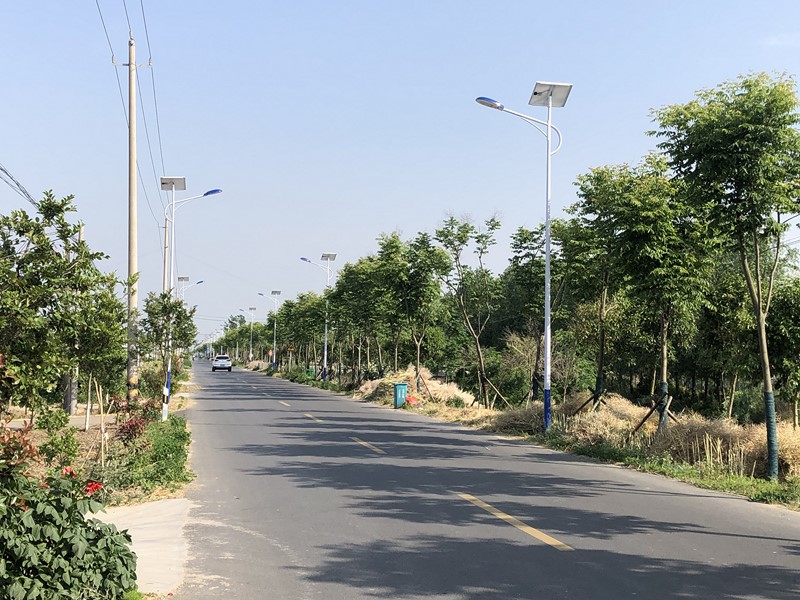 太陽(yáng)能路燈2 (復(fù)制)